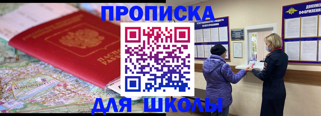 временная регистрация поиск в Павловске
